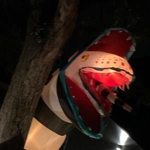 Meet your Posher, Morgan